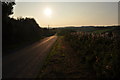 West Somerset : Country Lane