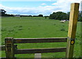 Public footpath to Cold Newton