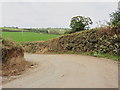 Sharp bend in the road, midway between Avonwick and Rattery