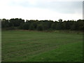 Farmland off Gillbrands Road