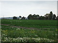 Farmland east of News Lane