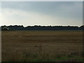 Stubble field near Rainford