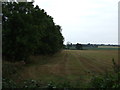 Stubble field beside the East Lancashire Road (A580)