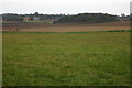 Farmland by the A428 with Sandpit Spinney beyond