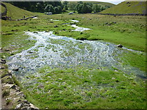 SD9163 : The springs at Gordale in full flow by Carroll Pierce