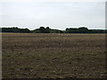 Farmland east of Whitefield Lane