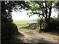 View towards a field of sheep