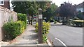 Entrance to Shrewsbury Park Estate Conservation Area