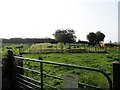 The Ballykeel Portal Tomb Enclosure