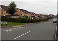 Modern houses in Old Whittington Road, Gobowen