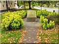 Millennium Stone next to Holmes Chapel Library