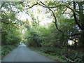 Barhatch Road north of Cranleigh