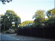 TQ0951 : Houses on Green Dene, East Horsley by David Howard