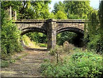 SJ8898 : Bridge over the Moat at Clayton Hall by David Dixon