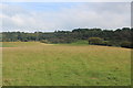 Field west of Eardiston