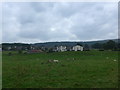 Looking from The Dales Way towards Hadfield Farm