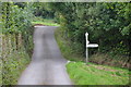 West Somerset : Country Lane