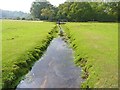 Tributary of Mill Lawn Brook