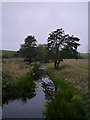 Dusk At Charterpath Bridge