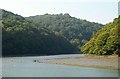 West Looe River