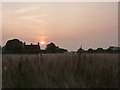 Sunset near Little Bramshot Farm