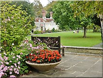 TQ4109 : Southover Grange Gardens, Lewes by Derek Voller