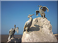 SD4264 : Cormorants close up, Stone Jetty, Morecambe by Karl and Ali