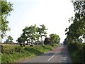 H9115 : The tree-lined Carran Road approaching the Crossmaglen 30mph zone by Eric Jones