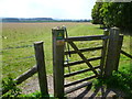 Looking into Cuckoo Stone Field