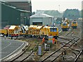 SU1685 : Track maintenance trains, near Transfer Bridge, Swindon by Brian Robert Marshall