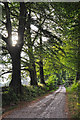 West Somerset : Farm Track