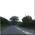 TM1277 : Crossing Road, Palgrave by Geographer