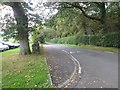 Single track road heading out of Drymen in Stirlingshire