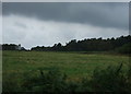 Farmland and woodland, Greetwell