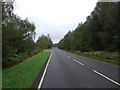 B1398 heading north west through woodland