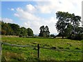 Barn Field (2)