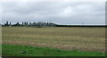 Farmland near Burringham