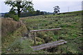 ST0129 : West Somerset : Grassy Field & Stream by Lewis Clarke