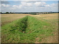 Sacombe: Watershed drainage ditch near Rowney Priory