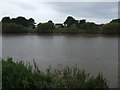 Looking across the River Trent, East Butterwick