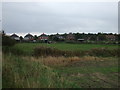 Grazing off North Moor Lane