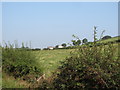 Farmhouse and buildings above Teer Road