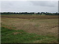 Farmland off Kirton Road