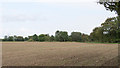 Tilled field near Knowle