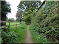 Tilford:  Bridleway