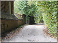 Tilford:  Lane leading to Herons Wey