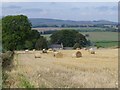 Circular straw bales