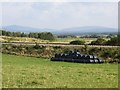 Strathspey silage stash