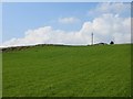 Grass field by Gartenbeg