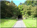 Pedestrian tunnel under the old Waverley line